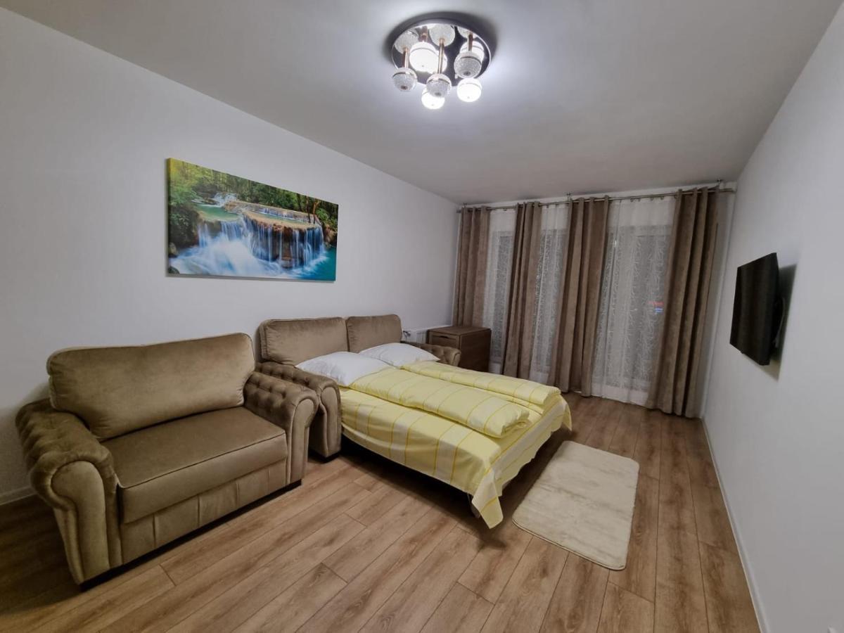 Апартаменты Casa Ta La Munte Брашов Экстерьер фото